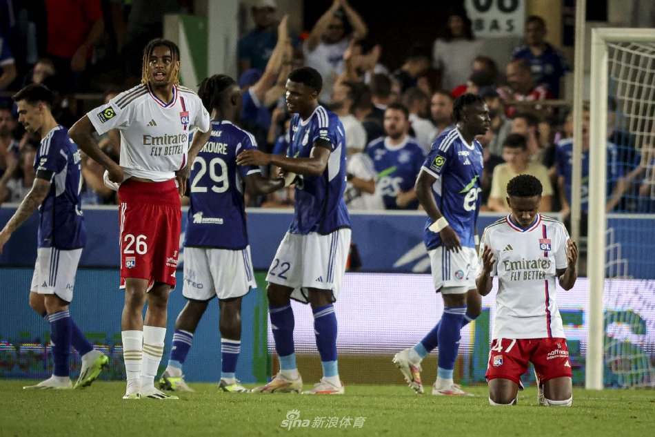 他不仅在 他不仅在